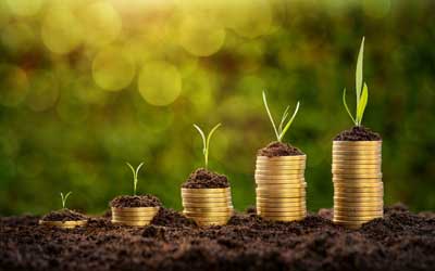 Financial Planner Canning Vale